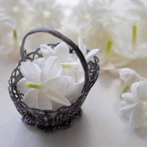 1098090_10151778260451047_304016878_n