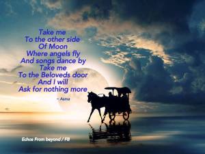 600554_516358298430984_2137037935_n-001