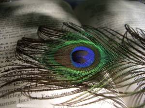 10409451_960460607303745_5585800052276802385_n