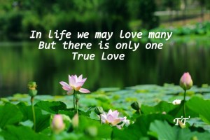 Jiker2012929351828-001