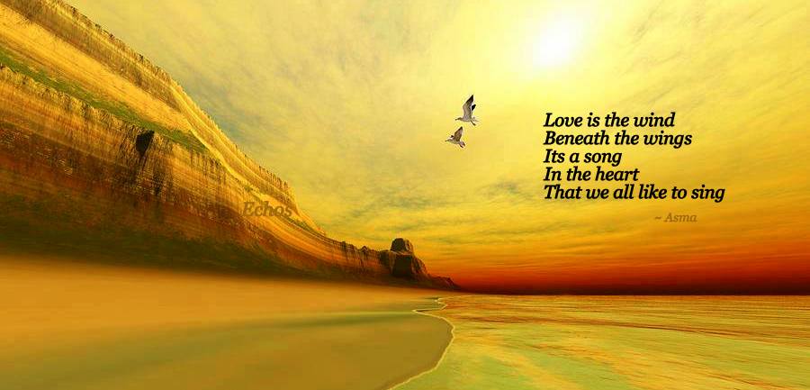 1458711_771643712852103_437836710_n