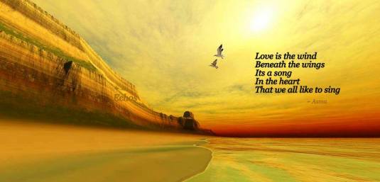 1458711_771643712852103_437836710_n