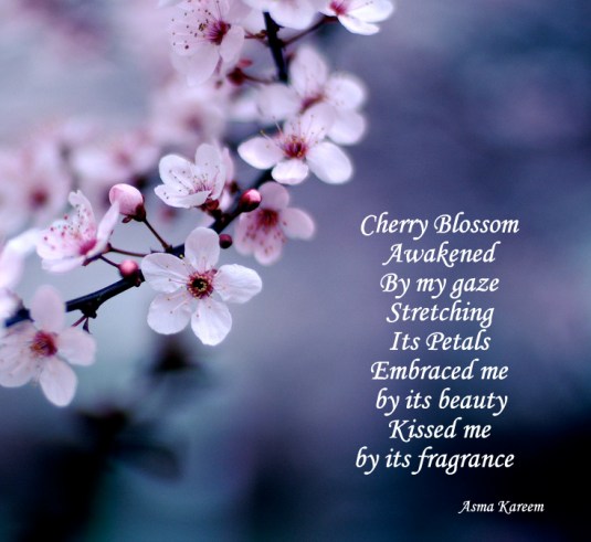 448485266_4af81d7b3b_b-001